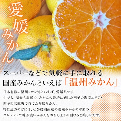 <愛媛みかん 家庭用(不揃い)約5kg> 果物 フルーツ 温州みかん うんしゅう 三好農園
