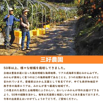 <愛媛みかん 家庭用(不揃い)約5kg> 果物 フルーツ 温州みかん うんしゅう 三好農園