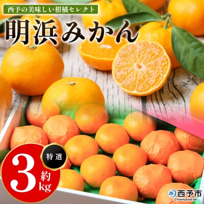 <西予の美味しい柑橘セレクト3kg(特選)> 果物 くだもの フルーツ 蜜柑 みかん ミカン