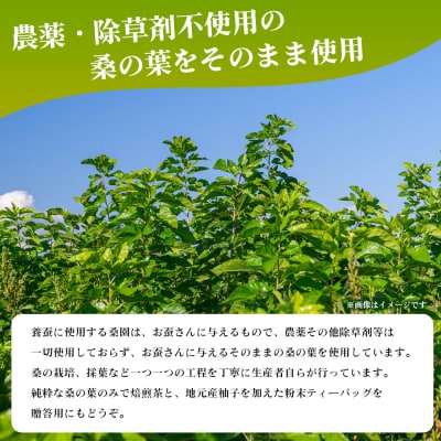 <絹茶(焙煎)> 桑の葉茶 桑茶 粉末 ティーバッグ 茶葉 きぬちゃ キヌチャ 養蚕農家 こだわり 