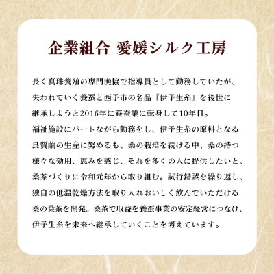 <絹茶(焙煎)> 桑の葉茶 桑茶 粉末 ティーバッグ 茶葉 きぬちゃ キヌチャ 養蚕農家 こだわり 