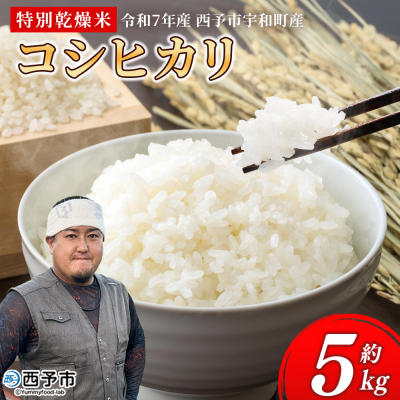 <令和7年産 コシヒカリ 5kg>国産 白米 精米 5キロ 愛媛県産 宇和町産 宇和米 