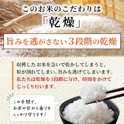 新米<令和7年産 コシヒカリ 5kg>国産 白米 精米 5キロ 愛媛県産 宇和町産 宇和米 