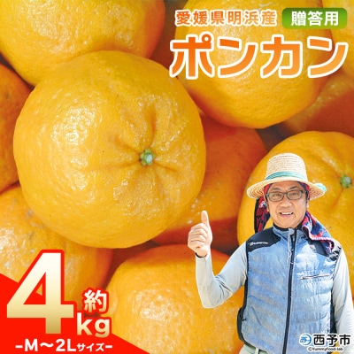 先行予約<明浜産 ポンカン M～2Lサイズ 約4kg 贈答用> 果物 俵津農地ヘルパー組合
