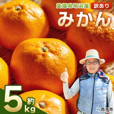 先行予約<明浜産 訳あり みかん 約5kg> 果物 俵津農地ヘルパー組合 