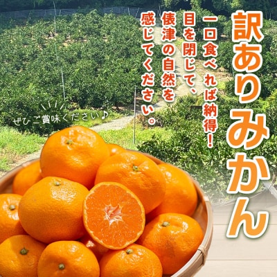 先行予約<明浜産 訳あり みかん 約5kg> 果物 俵津農地ヘルパー組合 