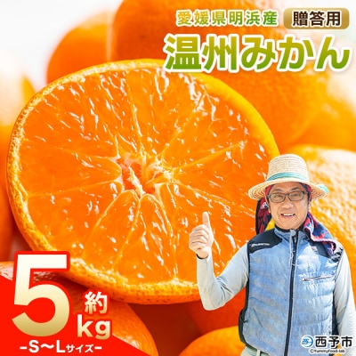 先行予約<明浜産 温州みかん S～Lサイズ 約5kg 贈答用> 果物 くだもの俵津農地ヘルパー組合