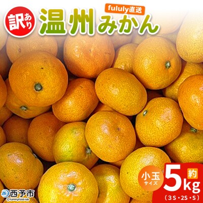 fululy 直送温州 みかん 訳あり 約5㎏ わけあり サイズ 混合 小玉