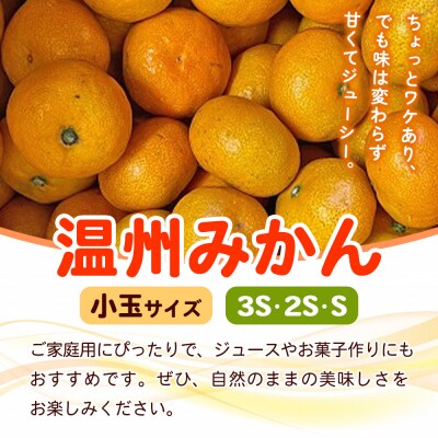 fululy 直送温州 みかん 訳あり 約5㎏ わけあり サイズ 混合 小玉