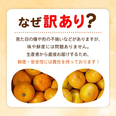 fululy 直送温州 みかん 訳あり 約5㎏ わけあり サイズ 混合 小玉