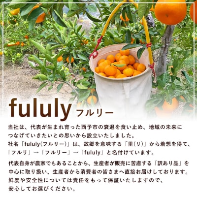 fululy 直送温州 みかん 訳あり 約5㎏ わけあり サイズ 混合 小玉