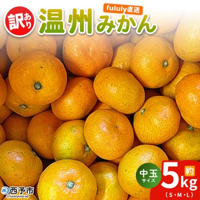 fululy直送温州みかん訳あり約5㎏わけあり サイズ 混合 中玉