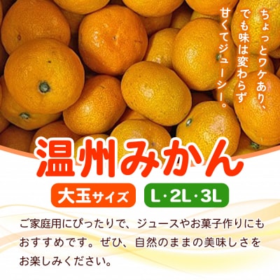 fululy直送温州みかん訳あり約3㎏わけあり サイズ 混合 大玉