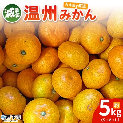 fululy直送 減農薬温州みかん 約5kg サイズ混合 果物 