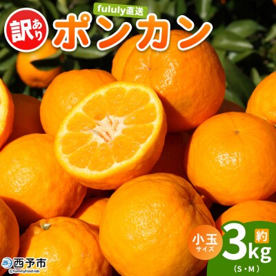 fululy直送 ポンカン 訳あり 約3kg  ワケアリ  小玉 