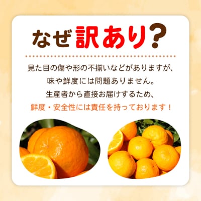 fululy直送 ポンカン 訳あり 約3kg ワケアリ 大玉