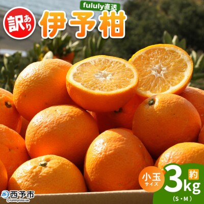 fululy直送 伊予柑 訳あり 約3kg  ワケアリ 小玉 果物 