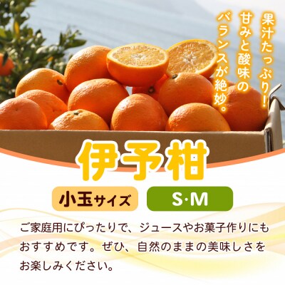 fululy直送 伊予柑 訳あり 約3kg  ワケアリ 小玉 果物 