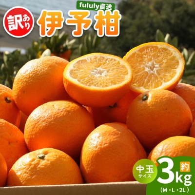 fululy直送 伊予柑 訳あり 約3kg ワケアリ 中玉 果物