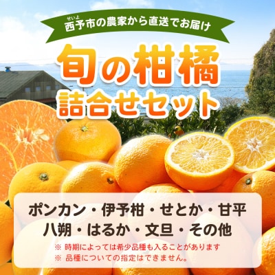 fululy直送 柑橘詰合せセット 約3kg 詰め合わせ 食べ比べ おまかせ 果物 フルーツ