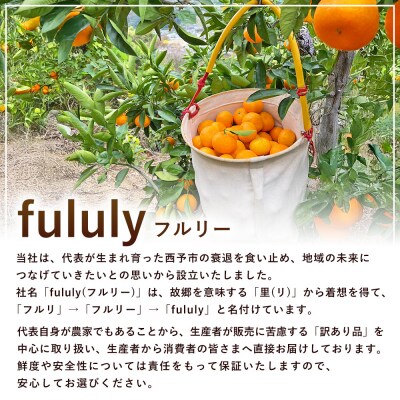 fululy直送 柑橘詰合せセット 約7kg 詰め合わせ 食べ比べ おまかせ 果物 フルーツ