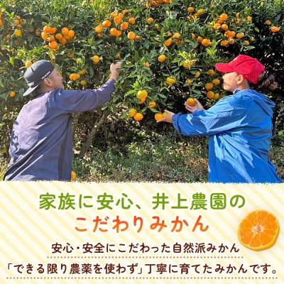 温州みかん(明浜みかん) 家庭用 約5kg 内容量 温州 うんしゅう みかん