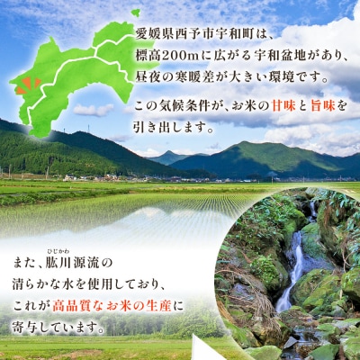  新米<令和7年産 愛媛県西予市産 コシヒカリ 田んぼダム米 10kg 3回定期便