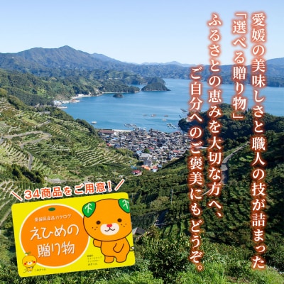 <カタログギフト「えひめの贈り物」こみきゃん>カードタイプ  松南園