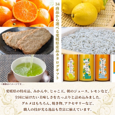 <カタログギフト「えひめの贈り物」こみきゃん>カードタイプ  松南園