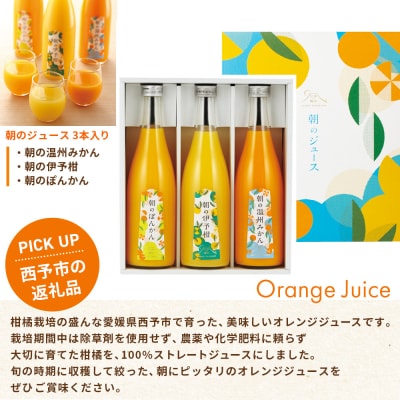 <カタログギフト「えひめの贈り物」こみきゃん>カードタイプ  松南園