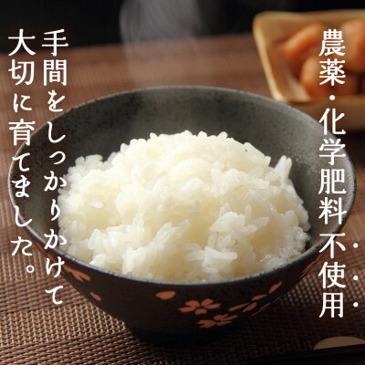 新米<令和7年産 西予市産 特別栽培米 エコえひめ コシヒカリ 白米 約5kg>国産 精米