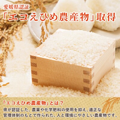 <令和8年産 西予市産 特別栽培米 エコえひめ コシヒカリ 白米 約5kg>国産 精米