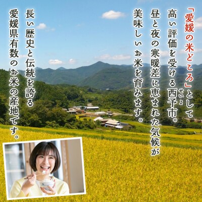 <令和8年産 西予市産 特別栽培米 エコえひめ コシヒカリ 白米 約5kg>国産 精米