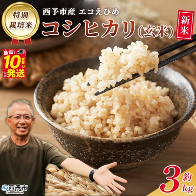 新米<令和7年産 西予市産 特別栽培米 エコえひめ コシヒカリ 玄米 約3kg>国産