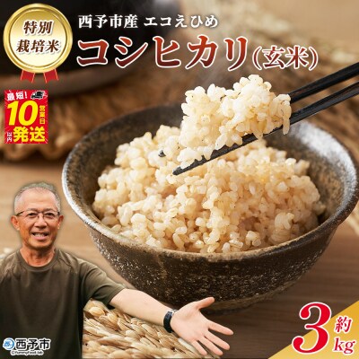 <令和7年産 西予市産 特別栽培米 エコえひめ コシヒカリ 玄米 約3kg>国産