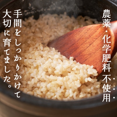 新米<令和7年産 西予市産 特別栽培米 エコえひめ コシヒカリ 玄米 約3kg>国産