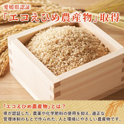 <令和8年産 西予市産 特別栽培米 エコえひめ コシヒカリ 玄米 約3kg>国産