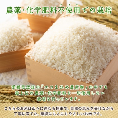 新米<令和7年産 西予市産 特別栽培米 エコえひめ コシヒカリ 玄米 約3kg>国産