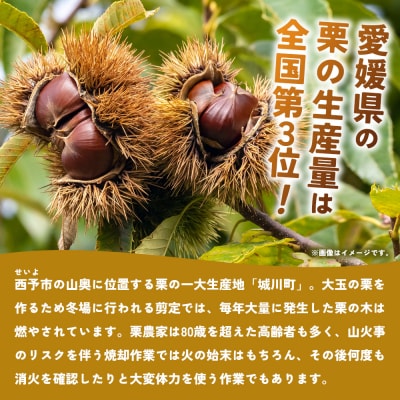 <栗乃餌木 ウッドルアー 2個セット> 釣り ルアー 栗の木 木製 手作り 餌木 