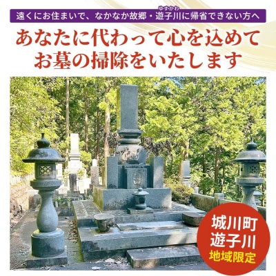 <遊子川地域限定 お墓掃除代行サービス> 年2回コース 2基 墓所 墓石
