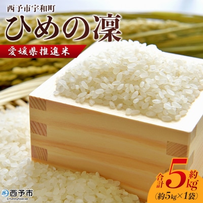 新米<令和7年産 愛媛県推進米 ひめの凜 約5kg> お米