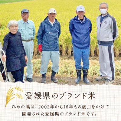 新米<令和7年産 愛媛県推進米 ひめの凜 約5kg> お米