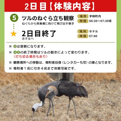 ツルのねぐら・採食場観察ツアー(Guided Tour of CraneRoosts and Fee