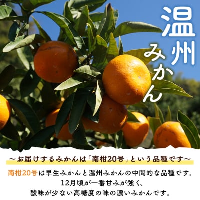 <浅井果樹園 温州みかん 約3kg(南柑20号)>内容量 果物 柑橘 フルーツ