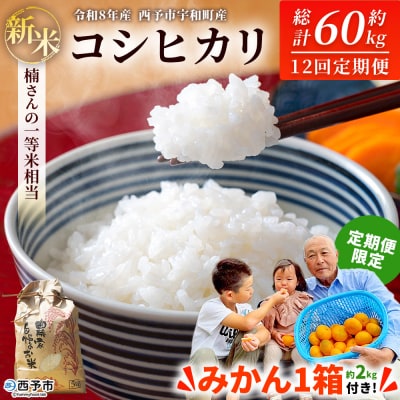新米 <令和8年産 コシヒカリ 約5kg 12回定期便 楠さんの一等米相当 みかん