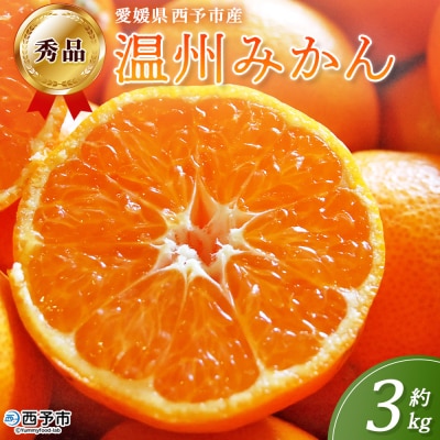 <西予市産 温州みかん 秀品 約3kg 温州 丸二青果 蜜柑 ミカン みかん