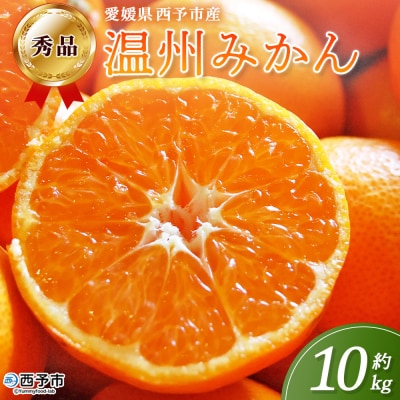 <西予市産 温州みかん 秀品 約10kg 温州 丸二青果 蜜柑 ミカン みかん