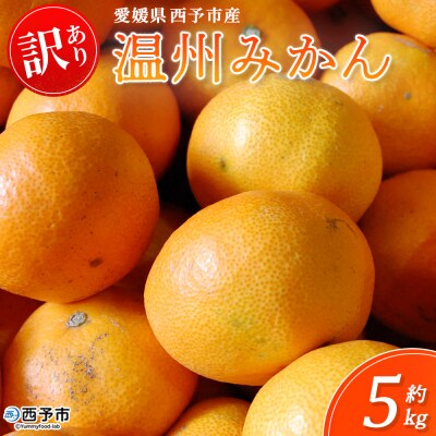 <西予市産 温州みかん 訳あり 約5kg> 温州 丸二青果 蜜柑 ミカン