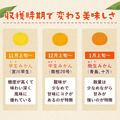 <西予市産 温州みかん 訳あり 約5kg> 温州 丸二青果 蜜柑 ミカン