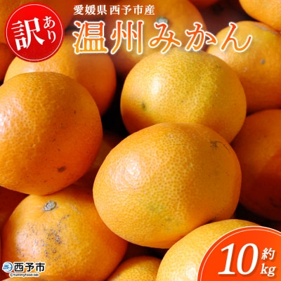 <西予市産 温州みかん 訳あり 約10kg> 温州 丸二青果 蜜柑 ミカン